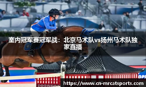 猫先生体育官方网站