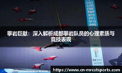 猫先生体育官方网站