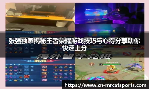 猫先生体育平台